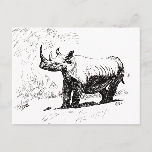 RHINO HOLIDAY POSTCARD (Front)