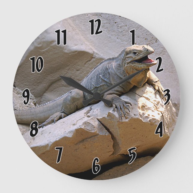 Rhino Iguana Large Clock (Front)