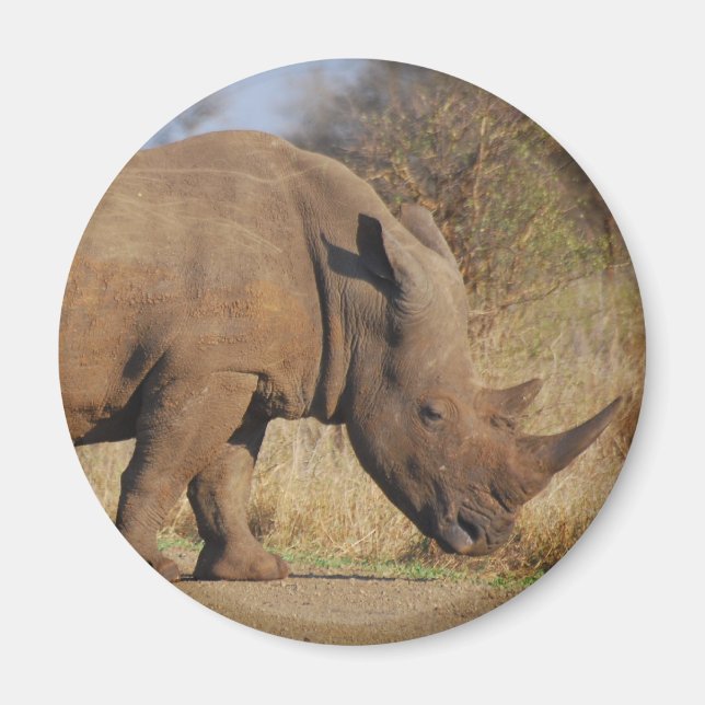Rhino Magnet (Front)