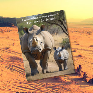 Rhino mother with Calf Postcard