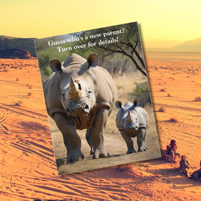 Rhino mother with Calf Postcard (Creator Uploaded)