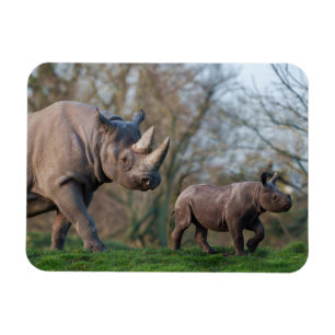 Rhino Motherhood Magnet