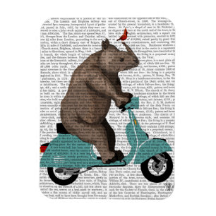 Rhino on Moped Magnet