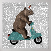 Rhino on Moped