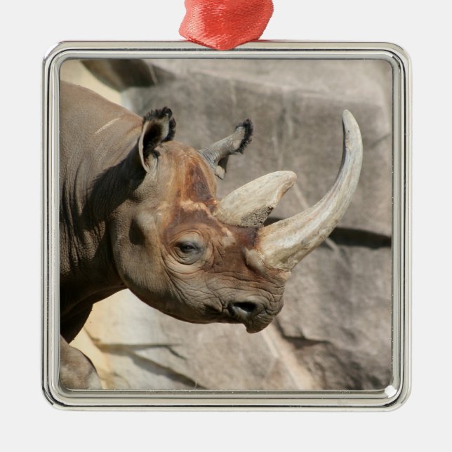 Rhino Ornament (Front)