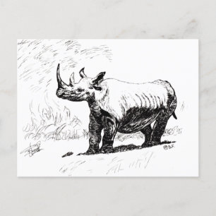 RHINO POSTCARD