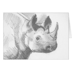 Rhino Rhinoceros Pencil Drawing sketch