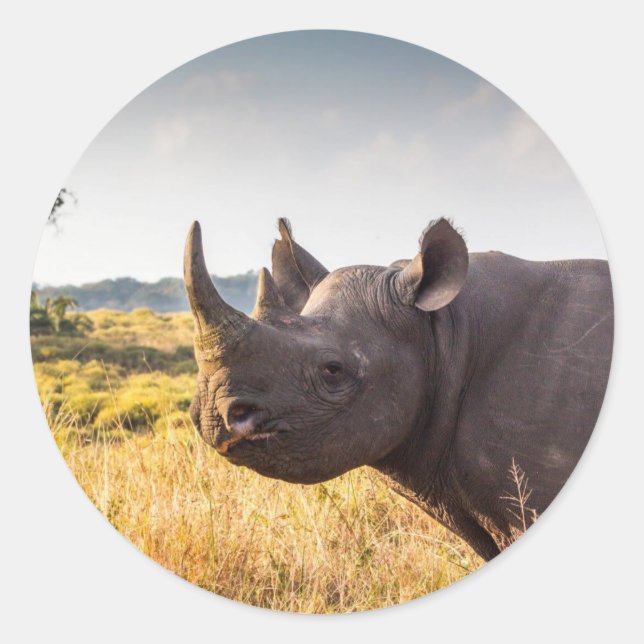 Rhino Sticker (Front)
