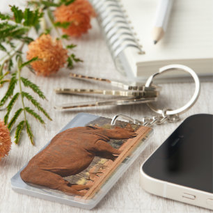 Rhino with mud on skin photo key ring
