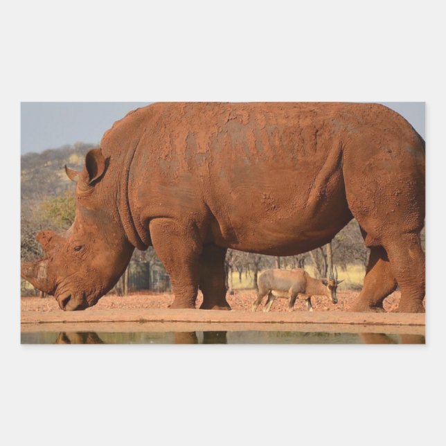 Rhino with mud on skin rectangular sticker (Front)