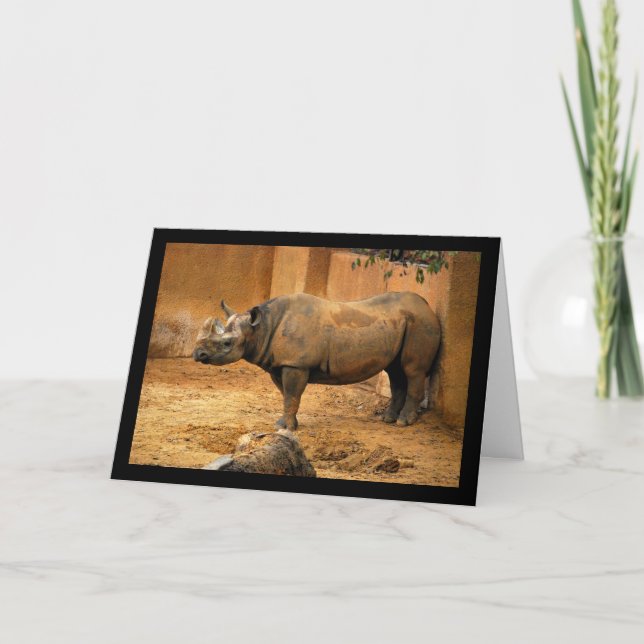 Rhinoceros Back Against the Wall Card (Front)
