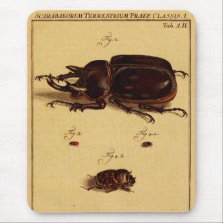 Rhinoceros Beetles Mouse Pad