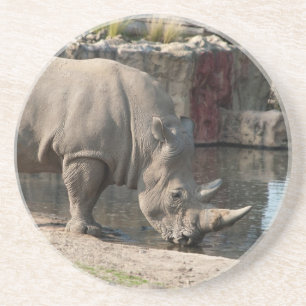 Rhinoceros Coaster