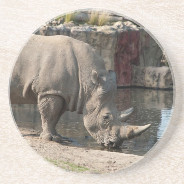 Rhinoceros Coaster (Front)