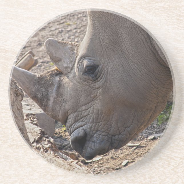 Rhinoceros Coaster (Front)