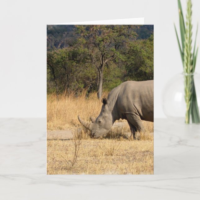 Rhinoceros Family Greeting Card (Front)