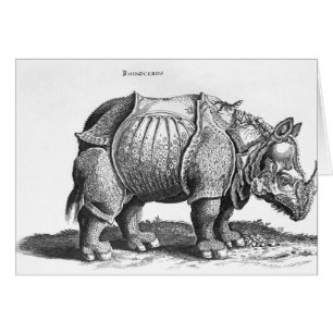 Rhinoceros, from 'Historia Animalium'