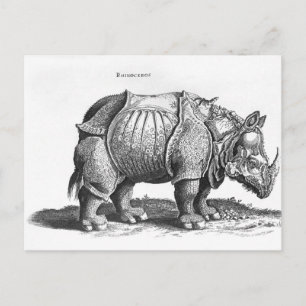 Rhinoceros, from 'Historia Animalium' Postcard