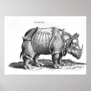 Rhinoceros, from 'Historia Animalium' Poster