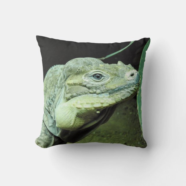 Rhinoceros Iguana Cushion (Front)