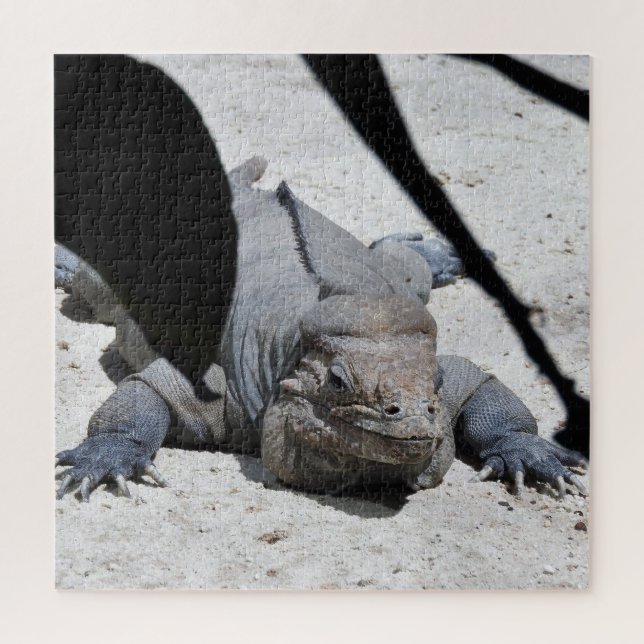 Rhinoceros Iguana Jigsaw Puzzle (Vertical)