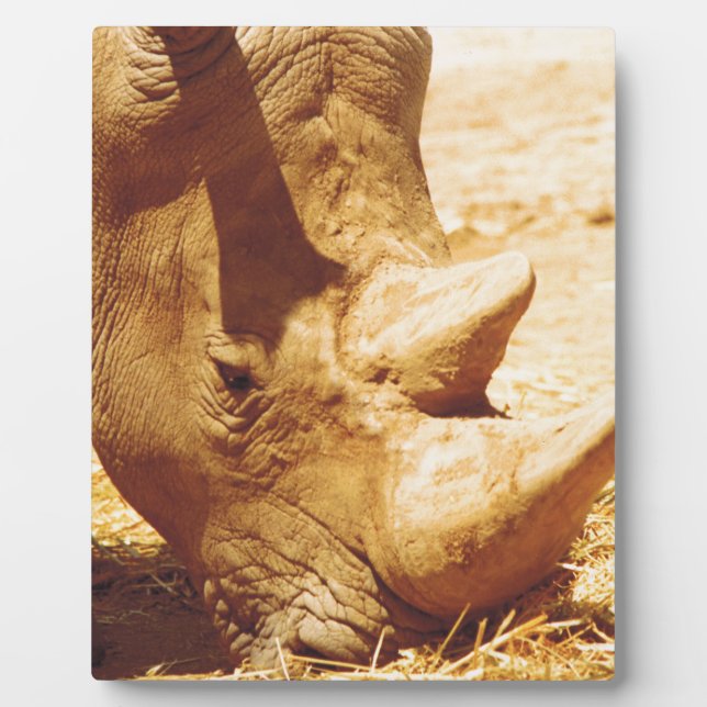 Rhinoceros Love Plaque (Front)