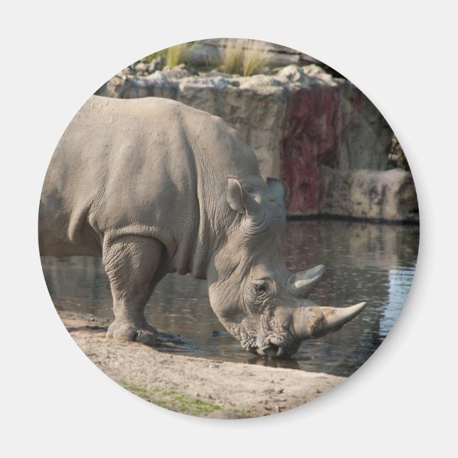Rhinoceros Magnet (Front)