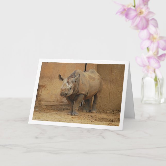 Rhinoceros Portrait Card (Orchid)