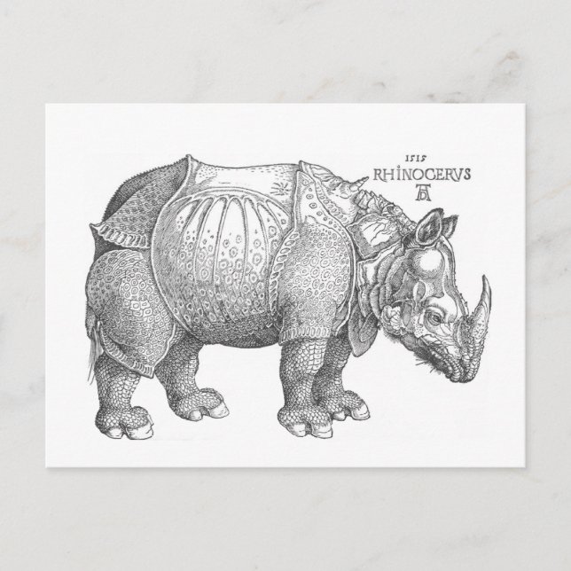 Rhinoceros Postcard (Front)