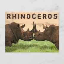 rhinoceros