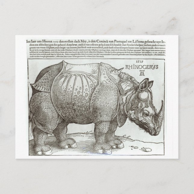 Rhinoceros, print given to Maximilian I (1459-1519 Postcard (Front)
