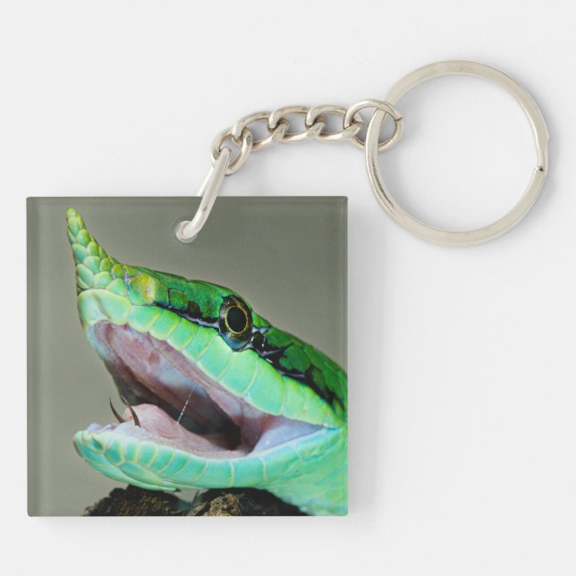 Rhinoceros Snake Key Ring (Back)
