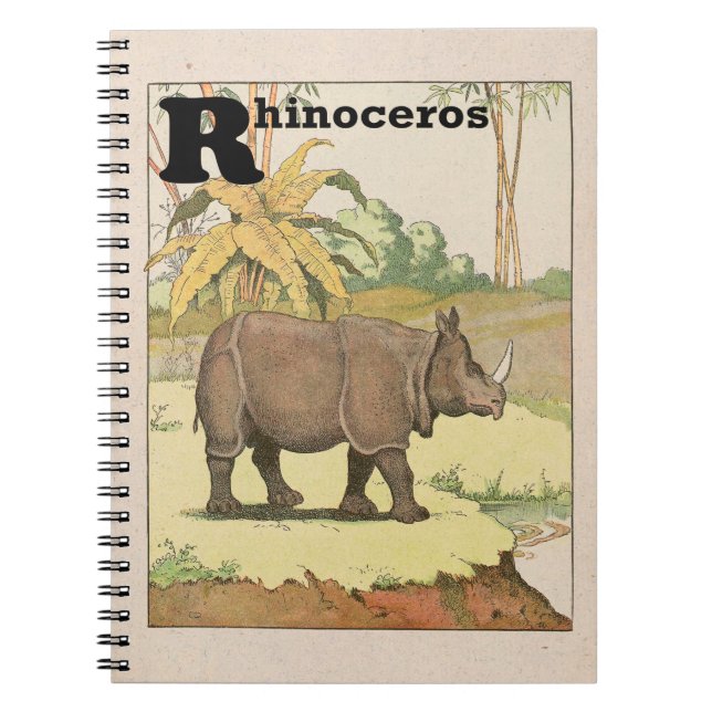 Rhinoceros Story Book Illustrated (Front)