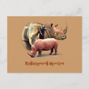 Rhinoceros The Endangered Species Cards