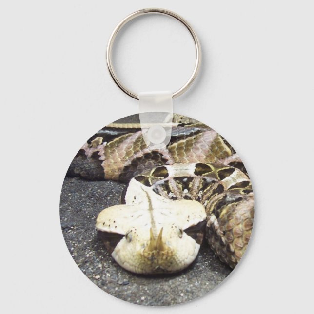 rhinoceros viper key ring (Front)