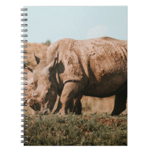 RHINO'S IN AFRICA GRAZING NOTEBOOK