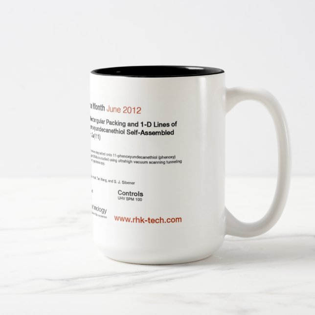 RHK Technology - June 2012 IOM Coffee Mug (Right)