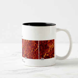 RHK Technology - October 2007 Image of the Month Two-Tone Coffee Mug