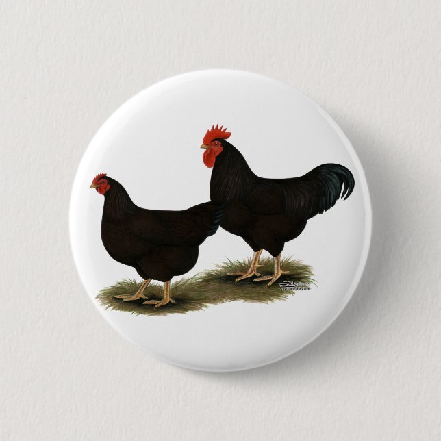 Rhode Island Red Bantams 6 Cm Round Badge (Front)