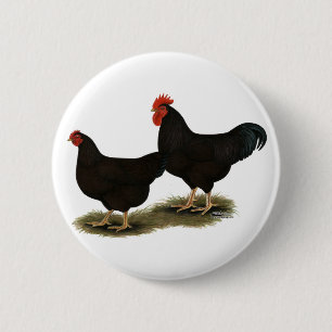 Rhode Island Red Bantams 6 Cm Round Badge