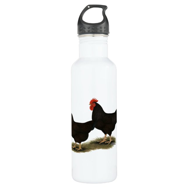 Rhode Island Red Bantams 710 Ml Water Bottle (Front)