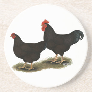 Rhode Island Red Bantams Coaster