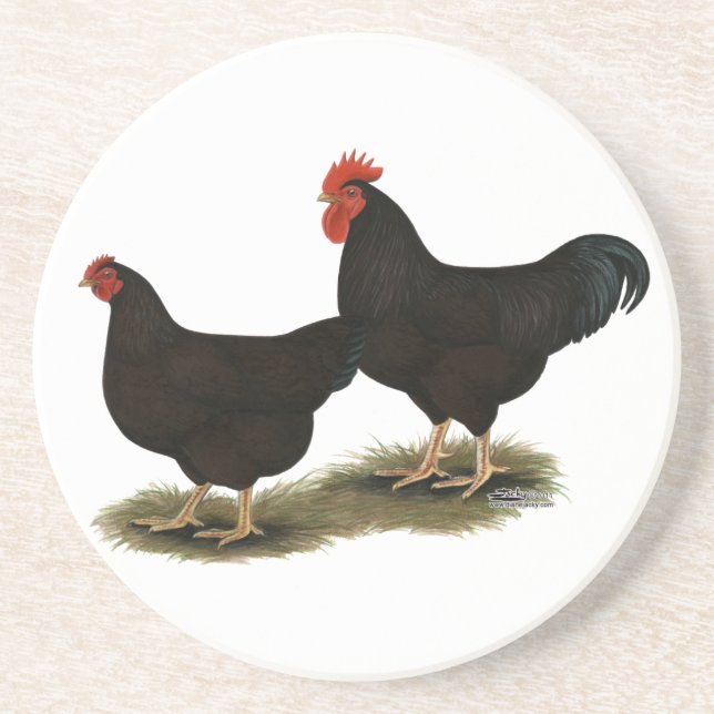 Rhode Island Red Bantams Coaster (Front)