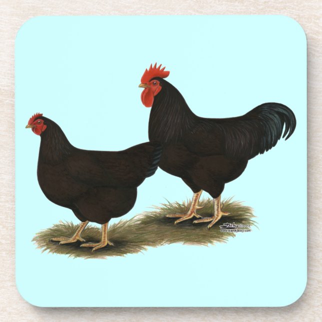 Rhode Island Red Bantams Coaster (Front)