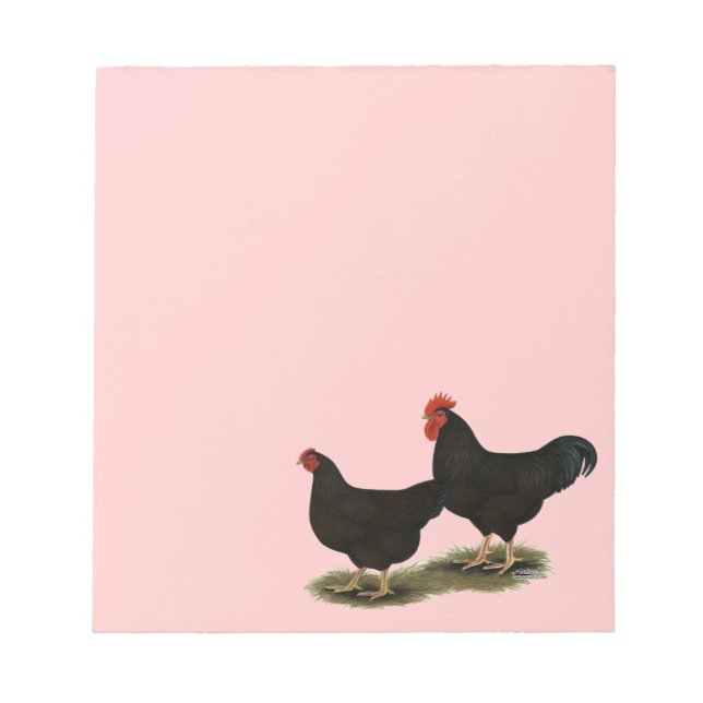 Rhode Island Red Bantams Notepad (Front)