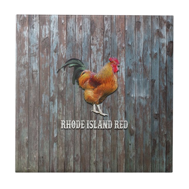 Rhode Island Red Chicken Ceramic Tile (Front)