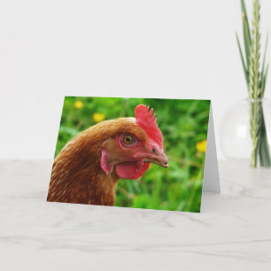 Rhode Island Red Hen Card