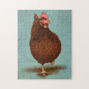Rhode Island Red Hen Puzzle