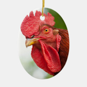 Rhode Island Red Rooster Ceramic Tree Decoration