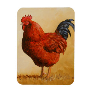 Rhode Island Red Rooster Chicken Magnet